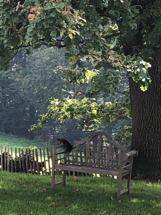 Gartenblick Leichlingen Exterior foto