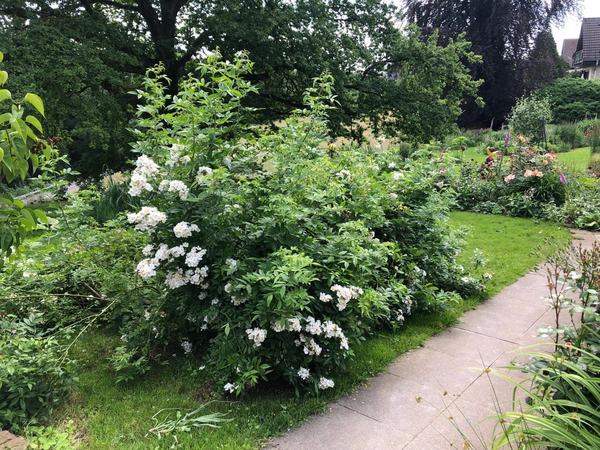 Gartenblick Leichlingen Exterior foto